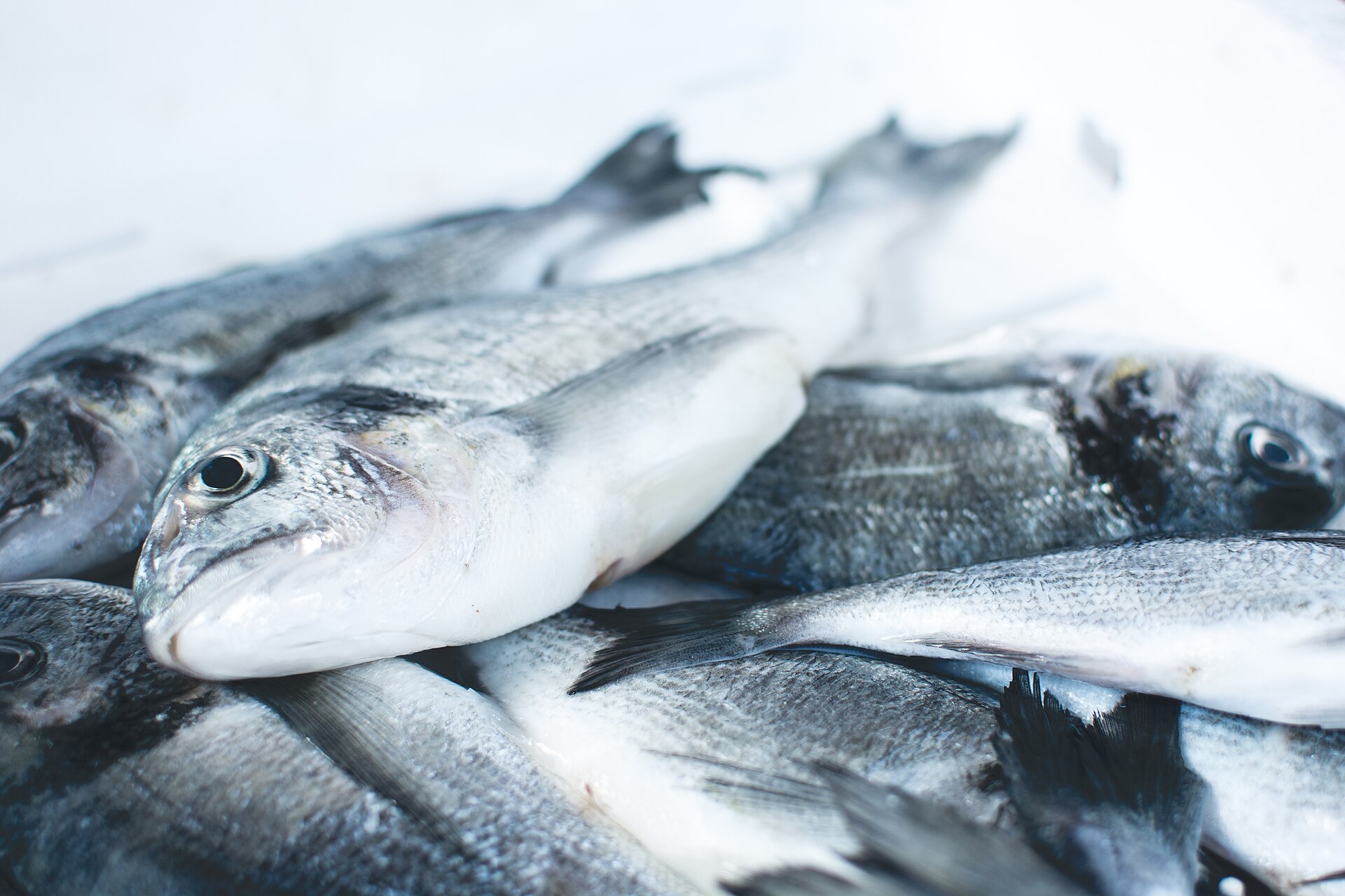 Fish market display